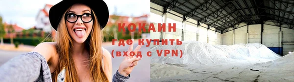 мяу мяу мука Аркадак