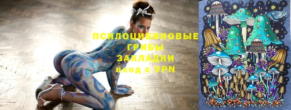 соль курить ск Арсеньев