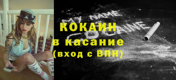 мяу мяу мука Аркадак